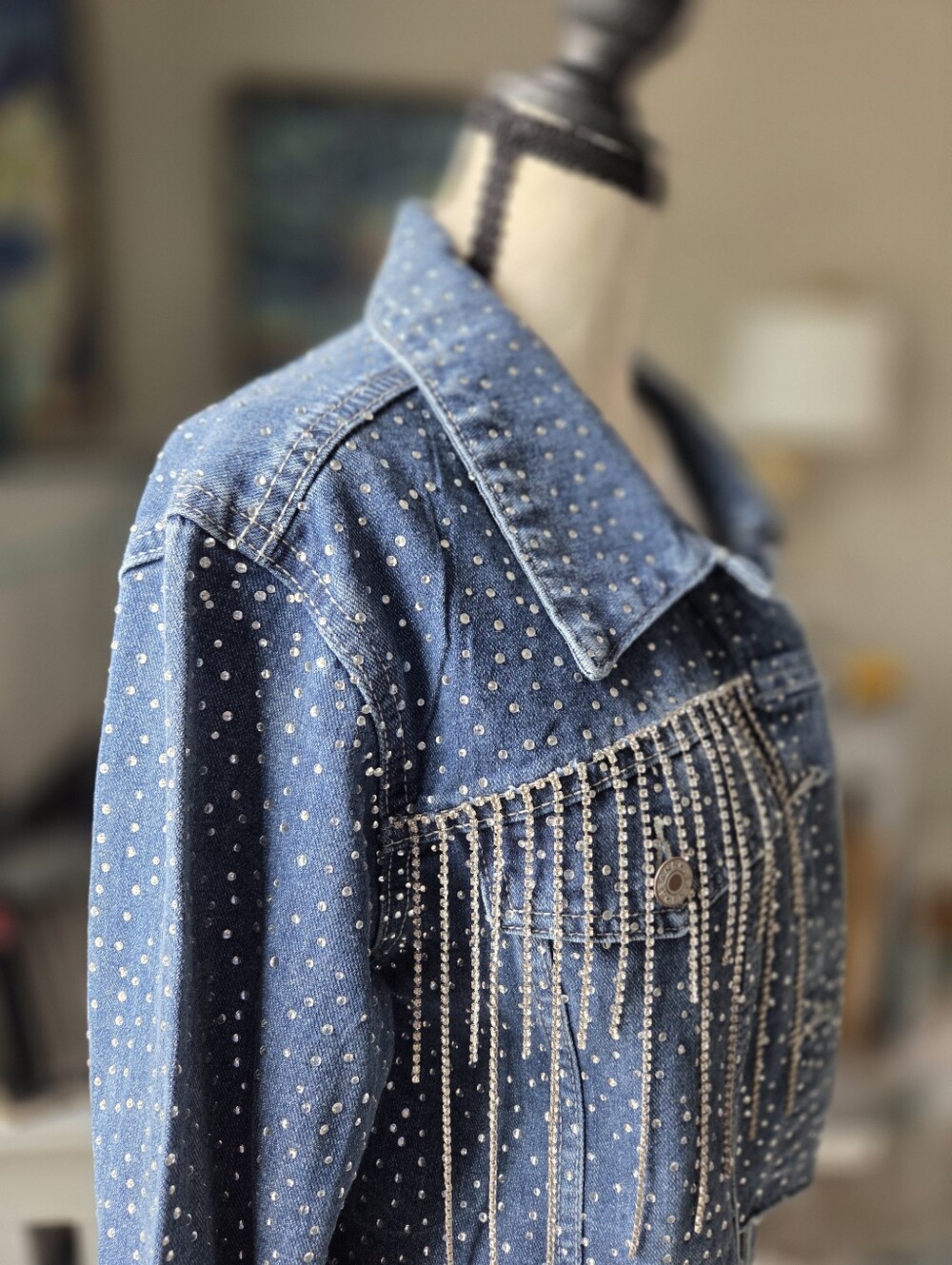 Emerson Lang Rhinestone Fringe Cropped Denim Jacket | Size Medium